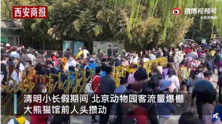 清明小长假迎出游高峰；沪宁城际高铁晚点；萧山机场无人机致航班无法降落